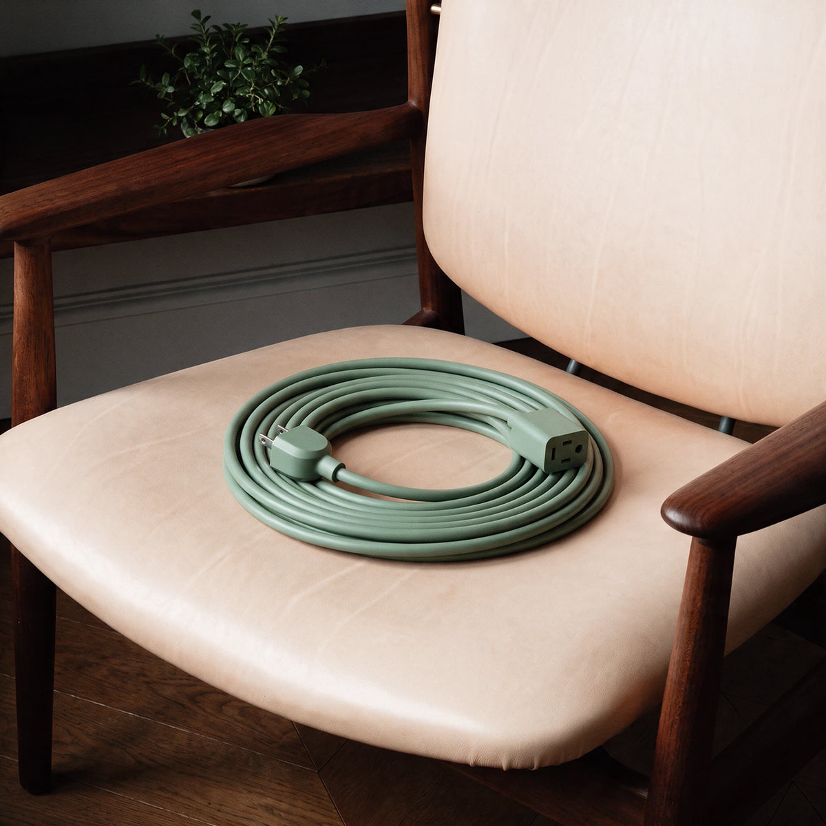 Extension Cord Reel